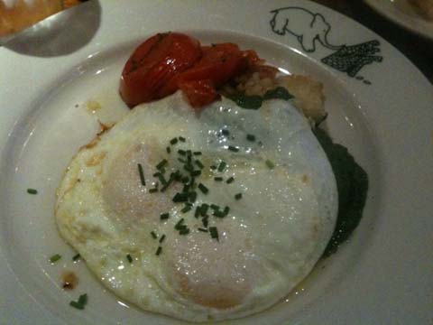 Canyonland Poached Eggs, with Balsamic Jus, Fresh Tarragon, Tomatoes, $11.50